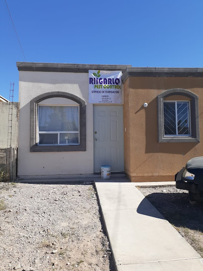 AF1QipM9WCezWJwjN905OqioUNlBWL5ZyRTiFHIIFvPEw408 h544 k no