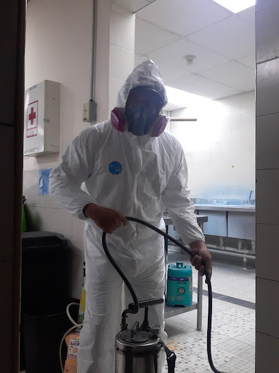 AF1QipMFJPIzQQfJki4d7sXHGjuor6965roEoB7Igok2w408 h544 k no