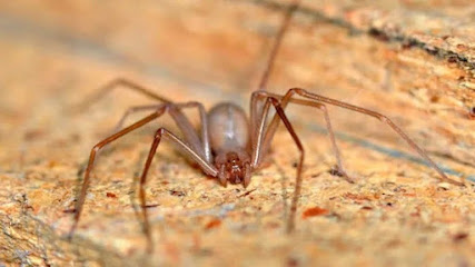 AF1QipMUV 9fPSYZdzuDeent0r2h1yeo1tYg L2j0ZqCw427 h240 k no