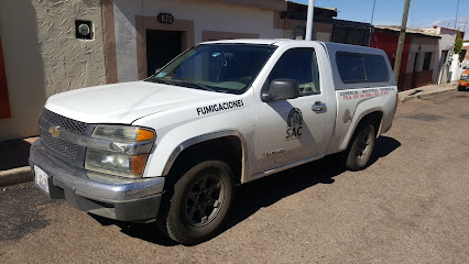 AF1QipMWtSi WmAv3AVK7RffqftgpJOlNgx0dSbdtBaPw426 h240 k no