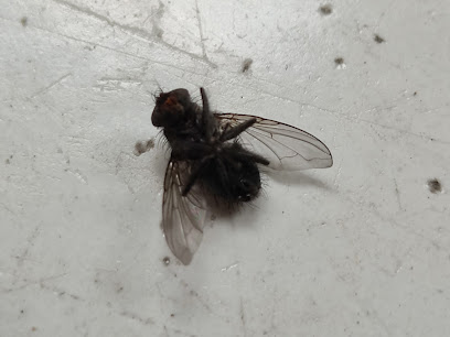 AF1QipMYT3vIzimaZiNKh0 e5oxXqIoqppztWpjYEO3Fw408 h306 k no