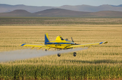 AF1QipMZsm u6ht5F kMIbs66uz9MNA5KUs1VBL0qwQ7w408 h267 k no