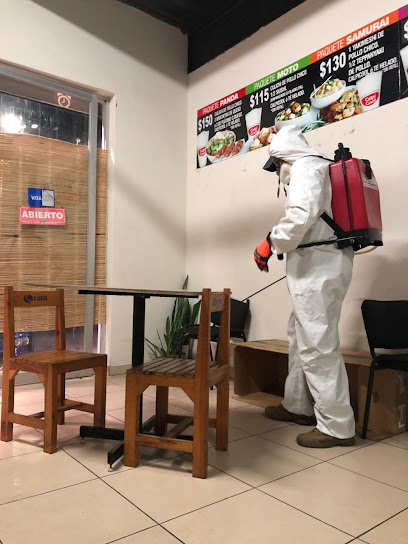 AF1QipMc6ZmeiWM 6nLeAoQsKJceb4pDu CnOVDj zFhw408 h544 k no