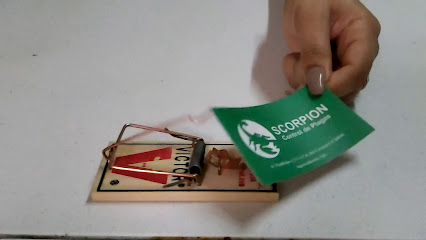 AF1QipMf0b1j UOzs4t6SQn8SGwl9stql5czNL2 s83Vw426 h240 k no