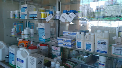 AF1QipMjgg5dQQsej mdpt1E1 yMajLj6t6T2Y4ByIQcw426 h240 k no