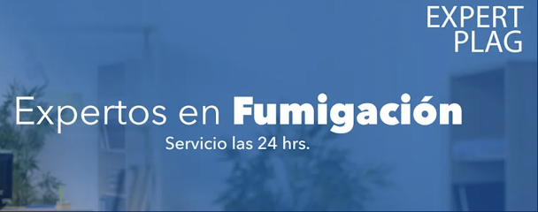 AF1QipN0ijCkSgBaPEg8qKTtSwMcKrmjm0KMzoVibrW1w608 h240 k no