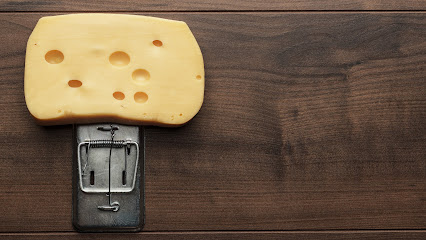 AF1QipN16tW3ry3tiZKaXadFsHa 7Rl0cTtQkhFQAiC6w426 h240 k no