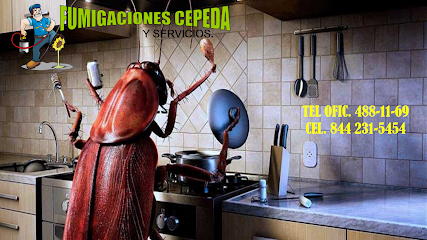 AF1QipN6oZolPUwQbsYEQOuomda4xMA9xDE6Djet4zMw427 h240 k no