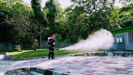 AF1QipNVxCcJ sEqLk v9MJAgcwJNJRp98WguJJrVukJw427 h240 k no