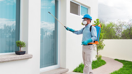 AF1QipNsAHNbMBM2JUkf2IChP Cy0 9RyByz2H obztNw426 h240 k no