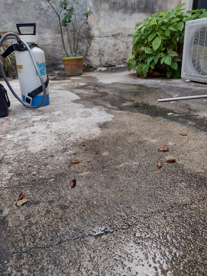 AF1QipNsAz1Z2P0DlgvLI6ATIhuoQ GovBfPmMzjxioiw408 h544 k no