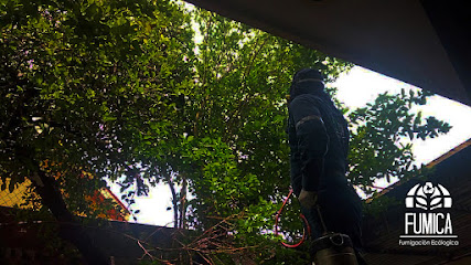 AF1QipO0RLcdzCnXPAfNmJwKzvJr8jTenqPx RMwlx iw427 h240 k no