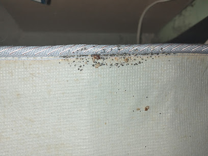 AF1QipO9jJwTzk6kAvONkNJIBB4AaDJRu60uEG65Uhfuw408 h307 k no