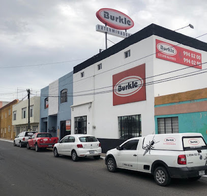 AF1QipOAz8 FsazdnHxJZYiagkz8lPlps9wAyqDq2Tsw408 h386 k no