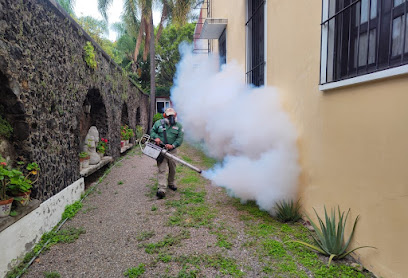 AF1QipOP LFjtJeMvx5G71Hvmw6UNCOH5gO ZZiTetnGw408 h278 k no