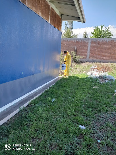 AF1QipOROtiBXn5wP10NJTreMxOxkzxv74Mtddp9Ogfhw408 h545 k no