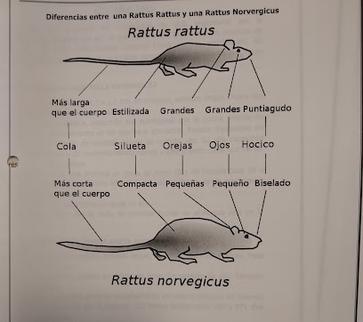 AF1QipOi9crZ6BB52k08g1HLGLUvF7 psWDAR6sPTLO6w408 h362 k no