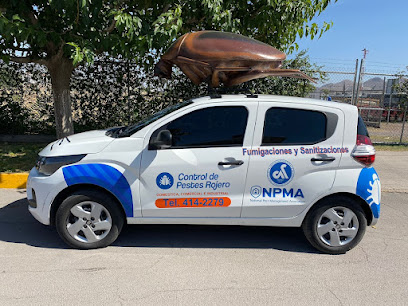 AF1QipOrBoYttUDlxjs 6uMgzCNc282frHumg0BqkA9Zw408 h306 k no