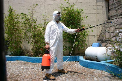 AF1QipOuZv yxhLnisuzTQZ5etuOYnAUa2hqxjcNfxMw408 h272 k no