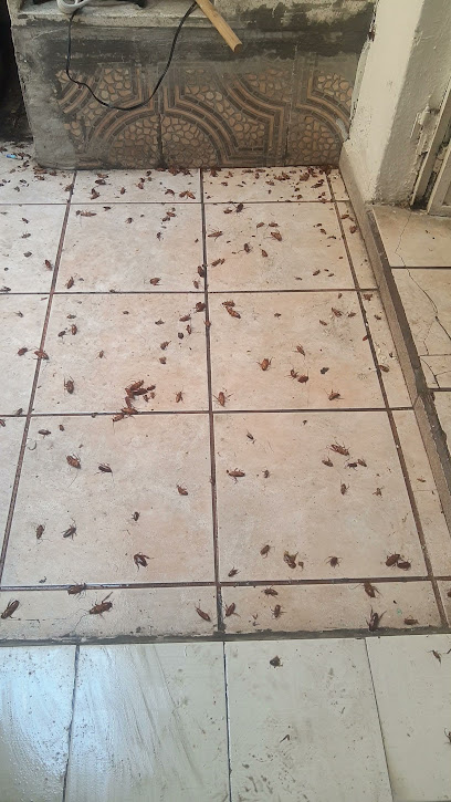 AF1QipP6KNnOcuyfo4o1z405 JN6bQGX ELF2FMp2ae3w408 h725 k no