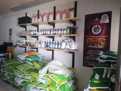 AF1QipP86ckhoggUW2JI0a3y MJNYgThxh0SjGbjeznEw408 h306 k no