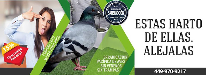 AF1QipPLoHnt9yKzhj1WOqWKeSzynWX Wl3oq7Rm1JYxw658 h240 k no