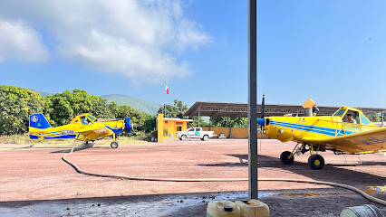 AF1QipPMMG0Kbsxr5saoOPwg9691xzPcwWLqtBsv47pVw426 h240 k no