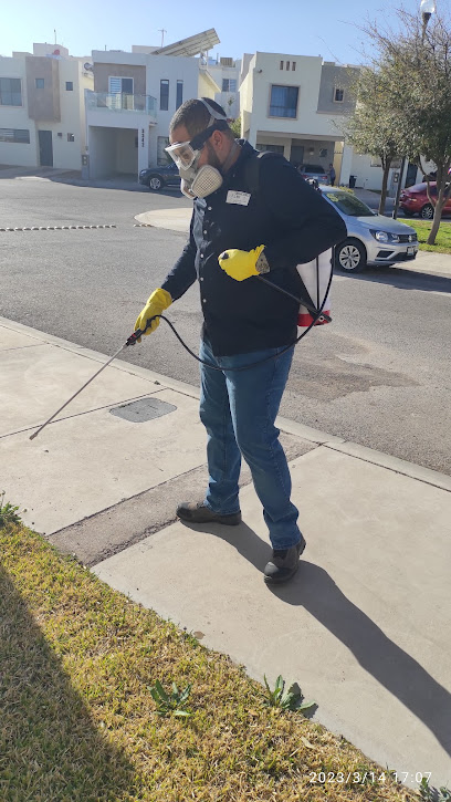 AF1QipPOF8kurIVrKhVm LzhyFhFI9VDQs6dIhn04R3Nw408 h725 k no