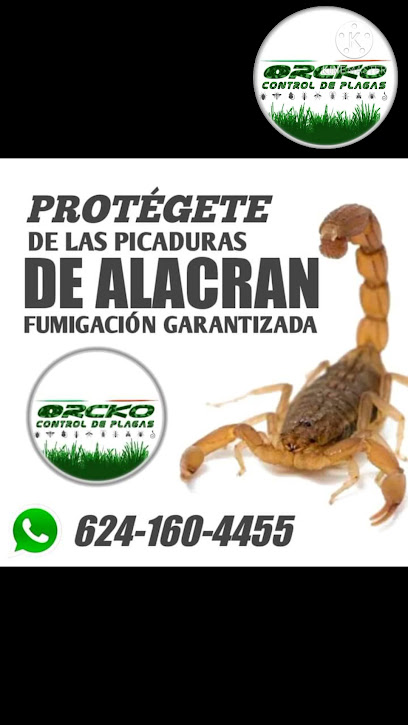 AF1QipPjIgSAWs2UX4fBlQ00CC9SNCGNzBgmUcsGQEMgw408 h725 k no