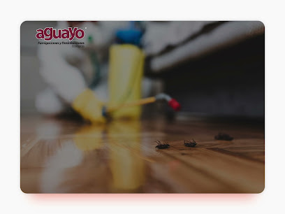 AF1QipPwUX5XSEUV740s2upVAFo9o24YHdZsBWlvsiF1w408 h306 k no