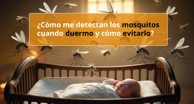 Como nos dectectan los mosquitos al dormir y como evitarlo en